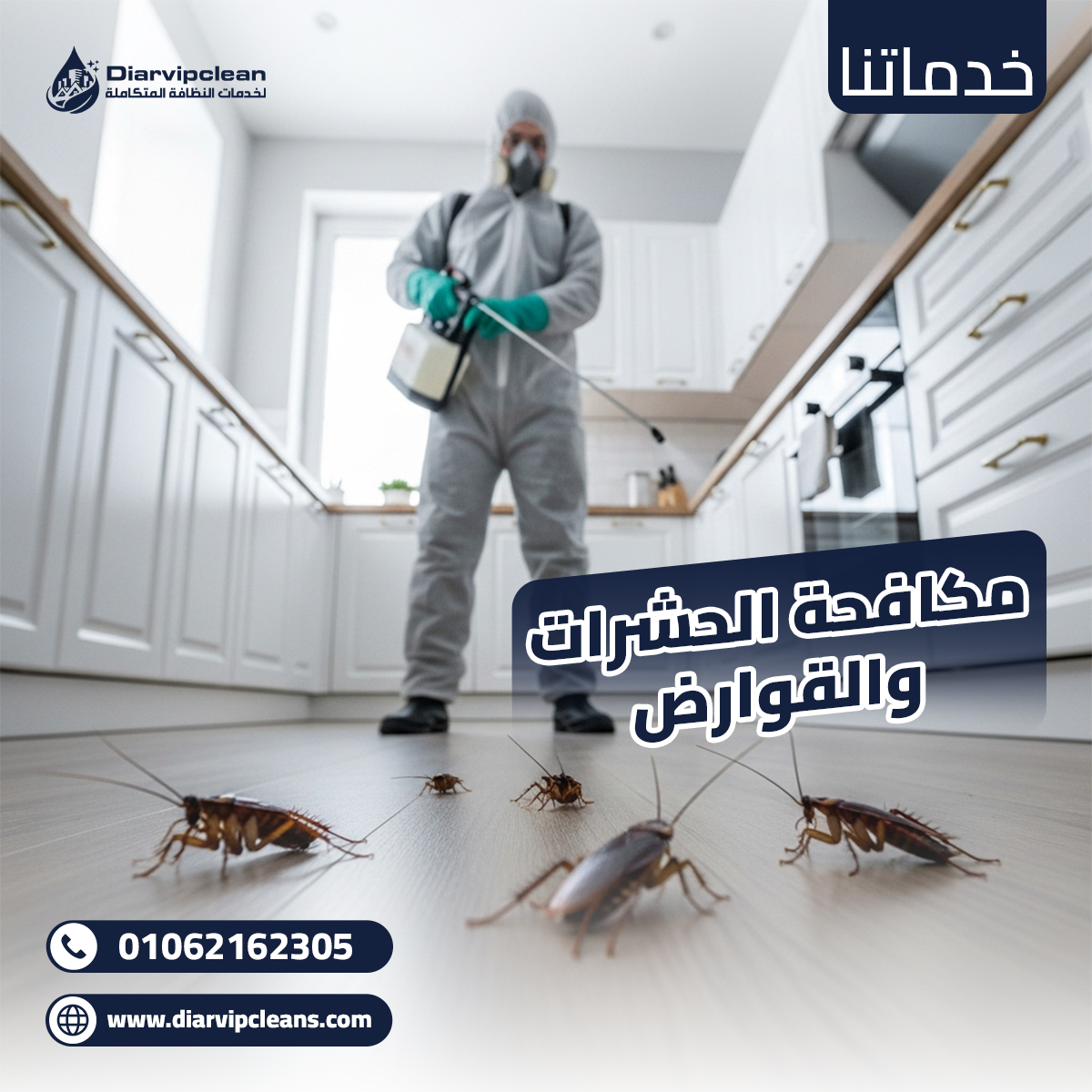 حشرات وقوارض حشرات وقوارض